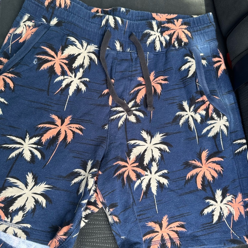 Palm Tree shorts